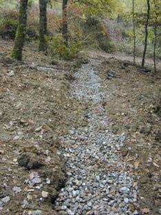 maisondrainbas.jpg (24457 octets)